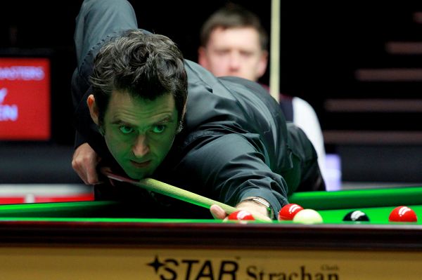 诚信专员有 诚信专员有