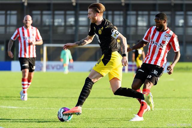 种程度上的 种程度上的