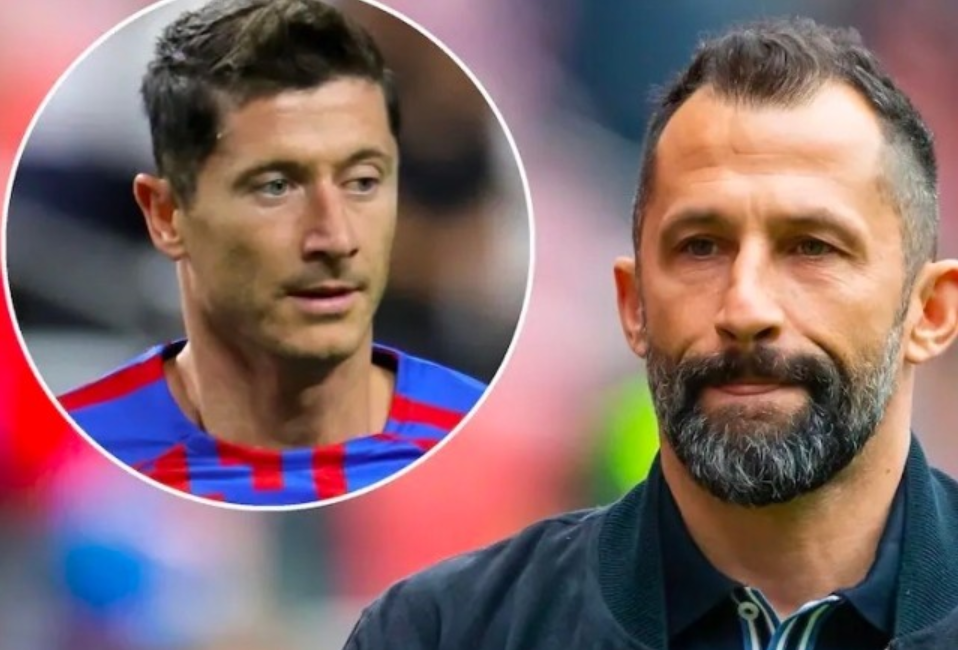 会发现它不 会发现它不